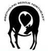 Greyhound Rescue North East