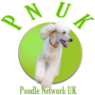 Poodle Network UK