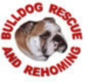 Bulldog Rescue Rehoming Trust
