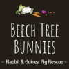 Beech Tree Bunnies