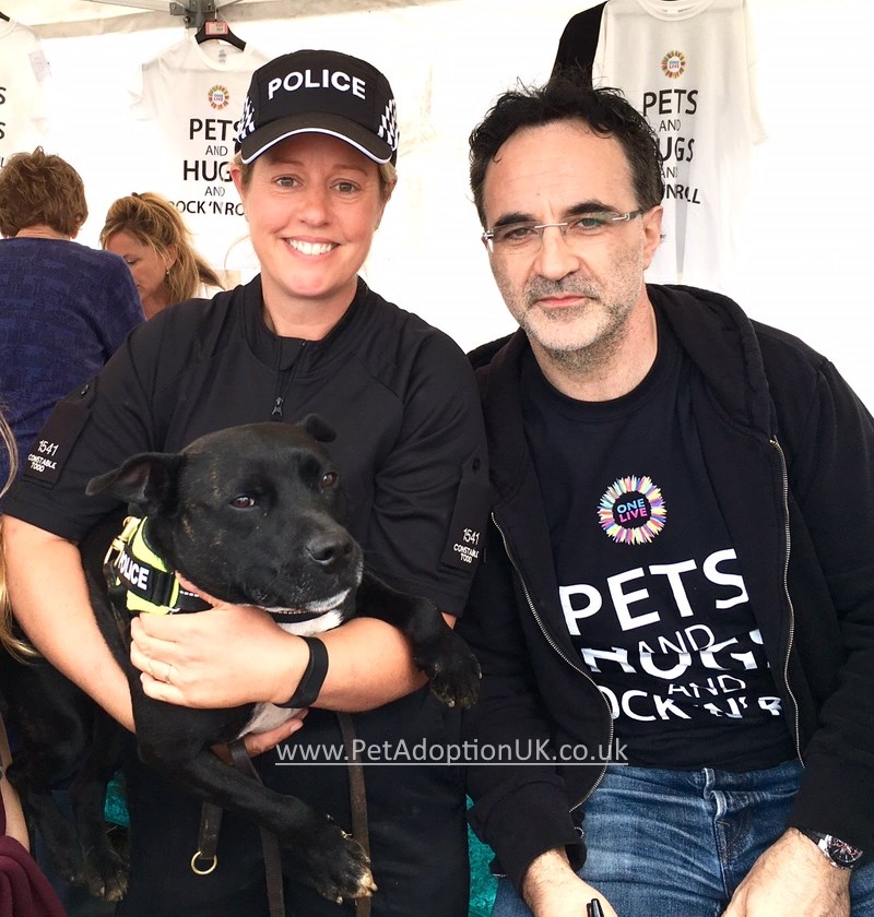 Noel Fitzpatrick